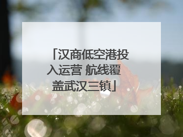 汉商低空港投入运营 航线覆盖武汉三镇